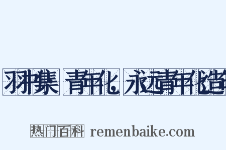 羽书集·青年化，永远青年化造句是什么意思的图片